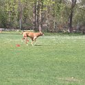 IMG 0620