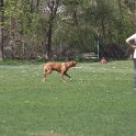 IMG 0621