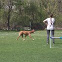 IMG 0622