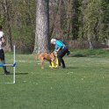 IMG 0632