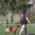 IMG 0634