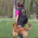 IMG 0638