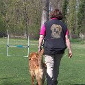 IMG 0639