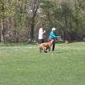 IMG 0640