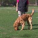 IMG 0649