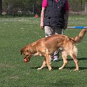 IMG 0650