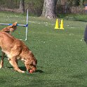 IMG 0662