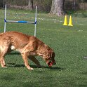 IMG 0663