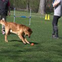 IMG 0669