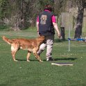 IMG 0675