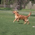 IMG 0677