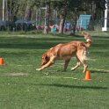 IMG 0683