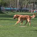 IMG 0684