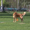 IMG 0685