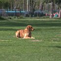 IMG 0686