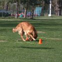 IMG 0688