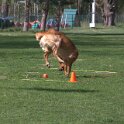 IMG 0689