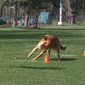 IMG 0691