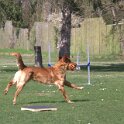 IMG 0697