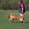 IMG 0701