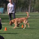 IMG 0703