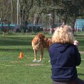 IMG 0704