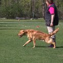IMG 0705