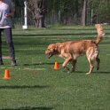 IMG 0707