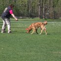 IMG 0717