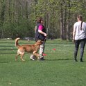 IMG 0719