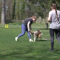 IMG 0726