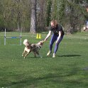 IMG 0728
