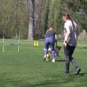 IMG 0729