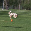 IMG 0738