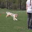 IMG 0741