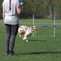 IMG 0742