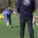 IMG 0744