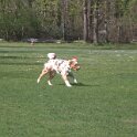 IMG 0747