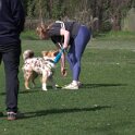 IMG 0749