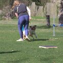 IMG 0751