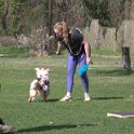 IMG 0754
