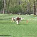 IMG 0758