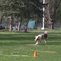 IMG 0759