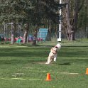 IMG 0760