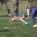 IMG 0762