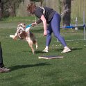IMG 0765