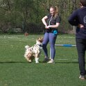 IMG 0766