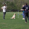IMG 0767