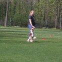 IMG 0770