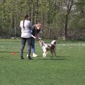 IMG 0772